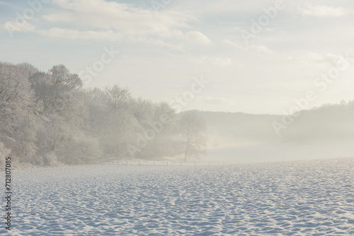Wallpaper Mural Fairy snowy forest in fog in beautiful winter at sunrise. Torontodigital.ca