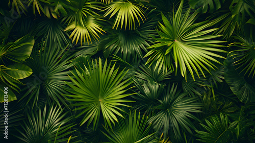 A lush and diverse group of green leaves, featuring various types of palm trees such as the sabal palmetto and saw palmetto, showcases the natural beauty and serenity of outdoor landscapes photo