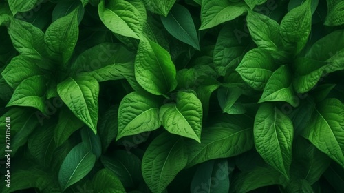 Green leaf nature background Ai Generative