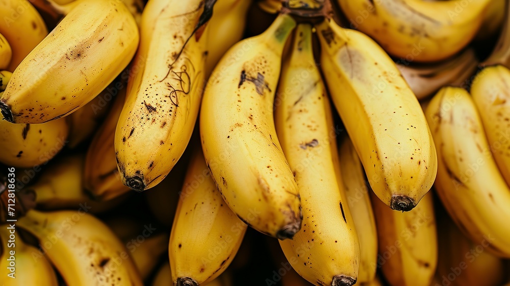 bunch of bananas bunch of bananas