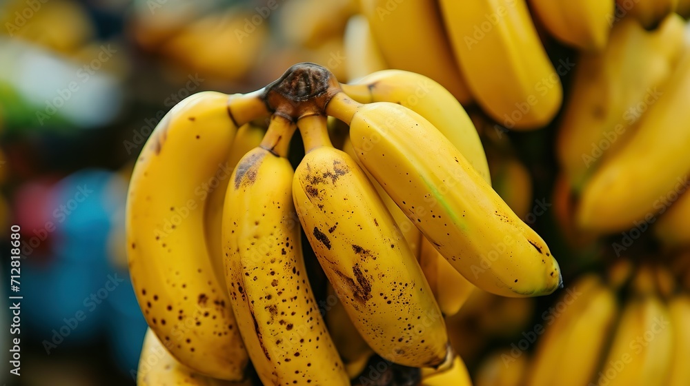 bunch of bananas bunch of bananas