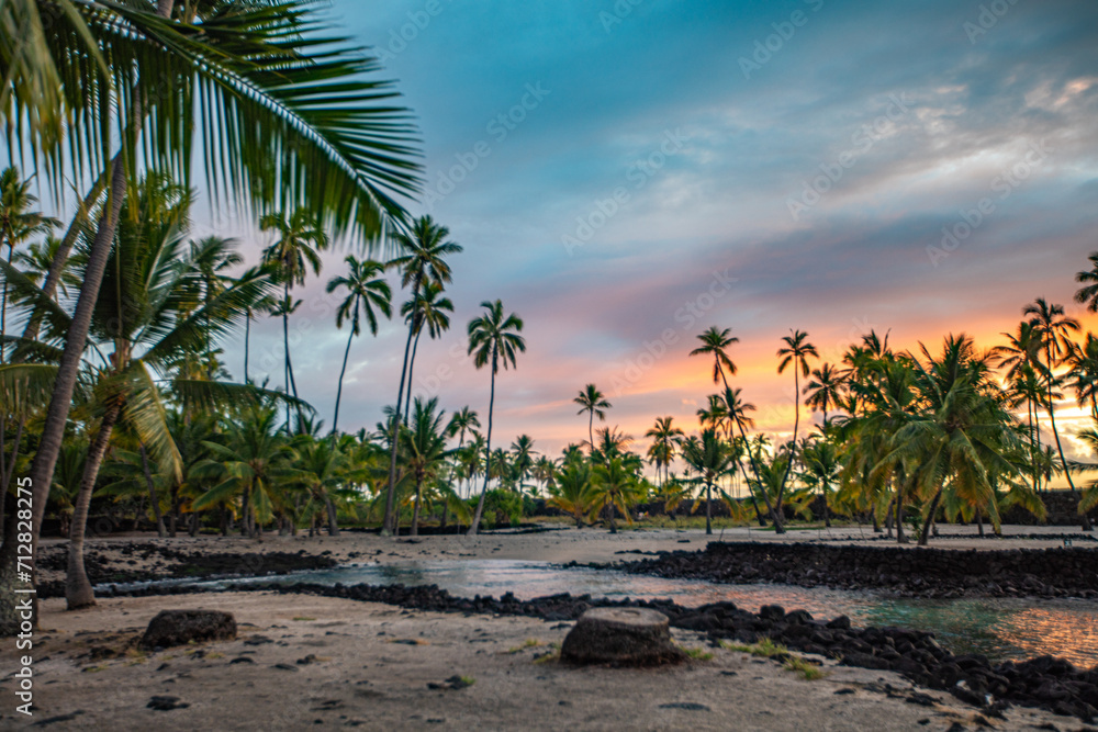 Obraz premium Palm trees at the beach