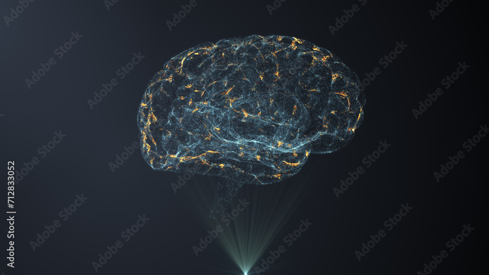 brain see through 360 degree 3d brain see through 360 degree 3d