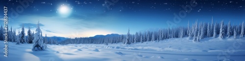 A panoramic shot capturing the serene beauty of a snow-covered alpine landscape,  with frozen trees glistening in the moonlight © basketman23