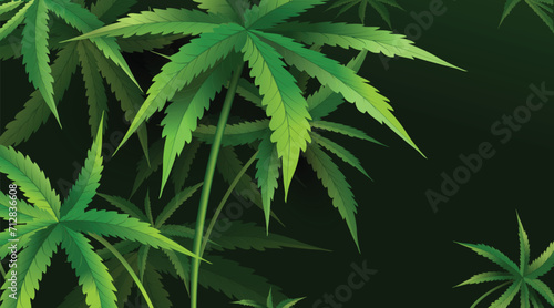 Cannabis (marijuana) plant leaves on dark background. Vector drawing.