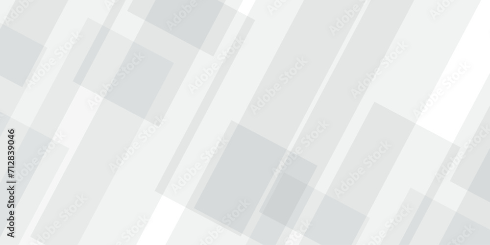 Vector Abstract Elegant white and grey Background. Abstract white Pattern. Squares Texture...