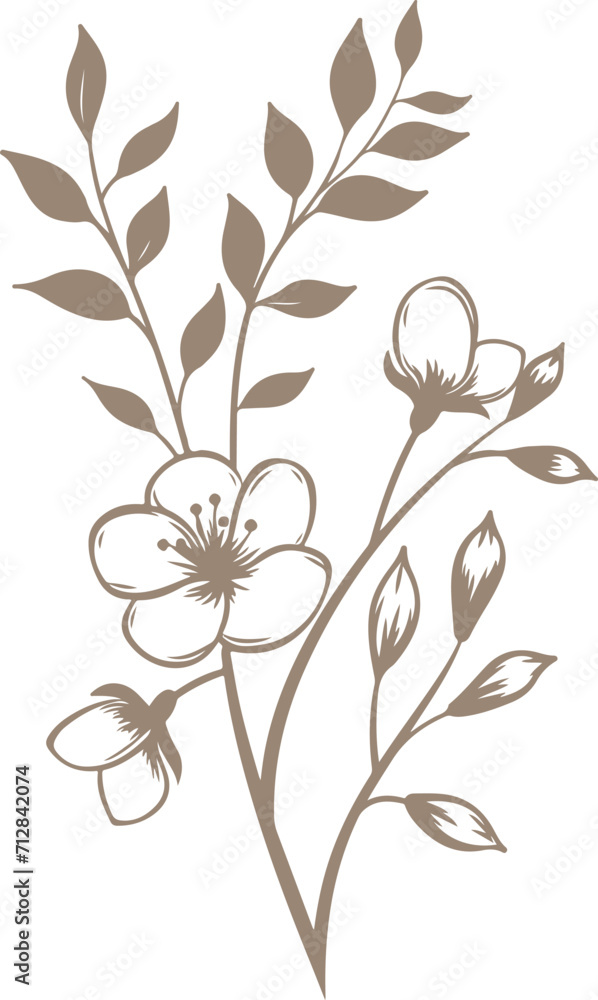 Vector black silhouettes of flowers isolated background