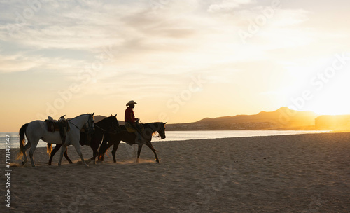 horse at sunset © Jason