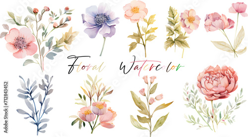 A very beautiful collection of watercolor flowers