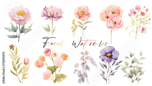 A very beautiful collection of watercolor flowers