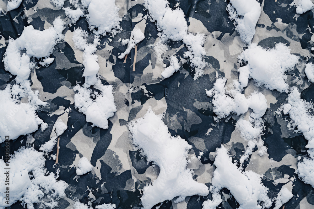 Fototapeta premium a winter camo texture