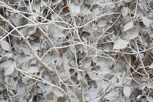 a winter camo texture
