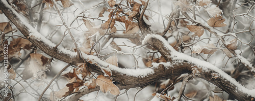 a winter camo texture