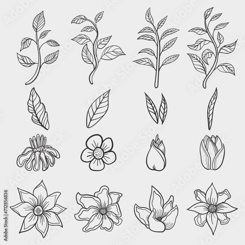 Minimalist hand drawn floral in black line art, perfect for decoration on walls or wedding invitation backgrounds. Exotic design elements such as flowers, leaves and stems.