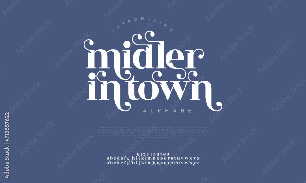 Midlerintown premium luxury elegant alphabet letters and numbers. Elegant wedding typography classic serif font decorative vintage retro. Creative vector illustration Midlerintown premium luxury elegant alphabet letters and numbers. Elegant wedding typography classic serif font decorative vintage retro. Creative vector illustration