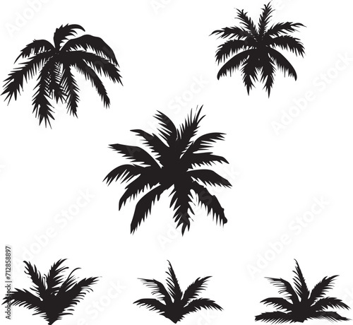 palm tree silhouettes-set of palm trees-set of palms|set of trees