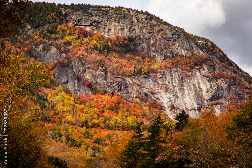 Mountain side in autumn 