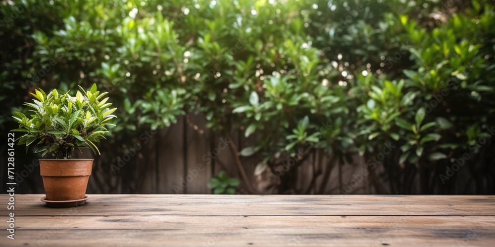 Green plants provide a background for an unfurnished wooden table in a summer backyard or patio. Green plants provide a background for an unfurnished wooden table in a summer backyard or patio.