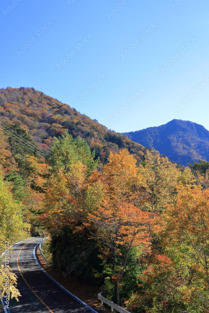 Naklejka premium 石鎚スカイライン 秋を彩る紅葉 （愛媛県）