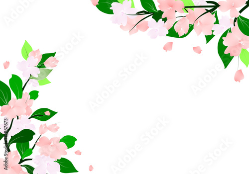 Wallpaper Mural Spring Flowers Frame, Floral Branch Border. Botanical Leaves Background. Torontodigital.ca