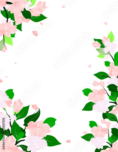 Wallpaper Mural Wild flowers spring frame border Torontodigital.ca
