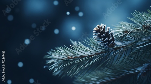  a close up of a pine leaf dark blue background  nature winter photography