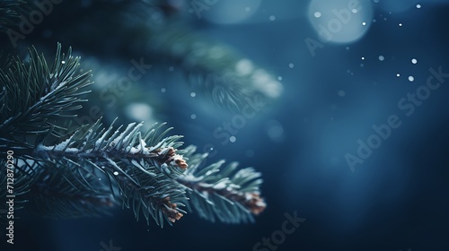  a close up of a pine leaf dark blue background, nature winter photography photo