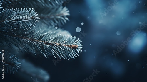  a close up of a pine leaf dark blue background, nature winter photography © growth.ai