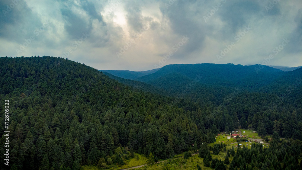 Naklejka premium landscape with mountains