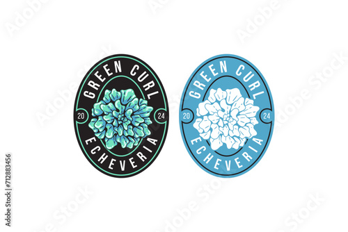 green curl succulents and echeveria badge emblem logo design for plant shop and lover business
