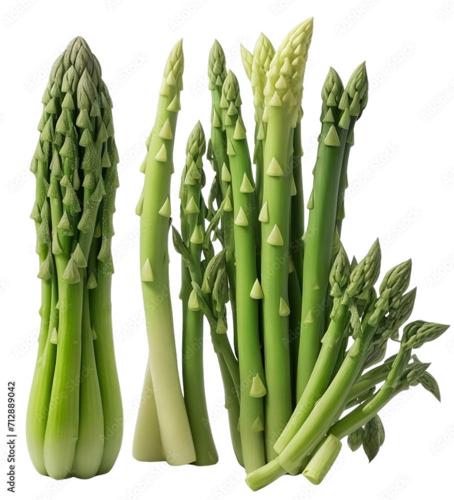Fototapeta premium Asparagus illustration for cooking
