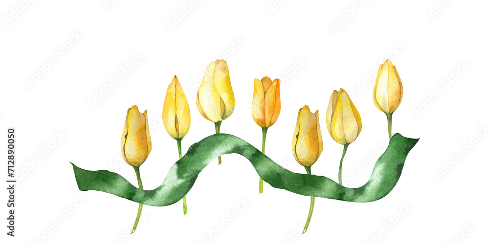 a floral spring composition of yellow tulips and green ribbon. botanical watercolor illustration. on a white background for your design. - obrazy, fototapety, plakaty 