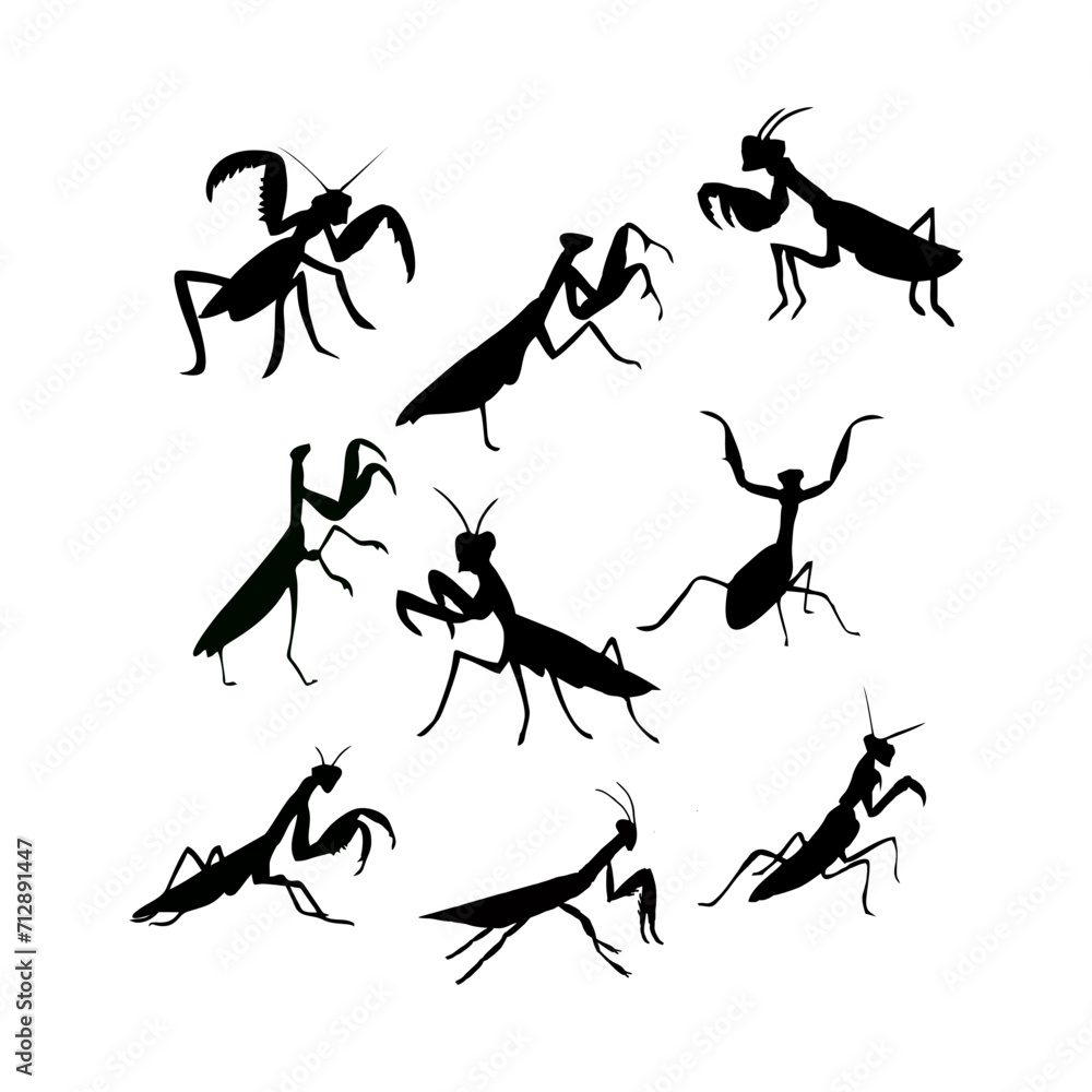 silhouette of a praying mantis or black insect