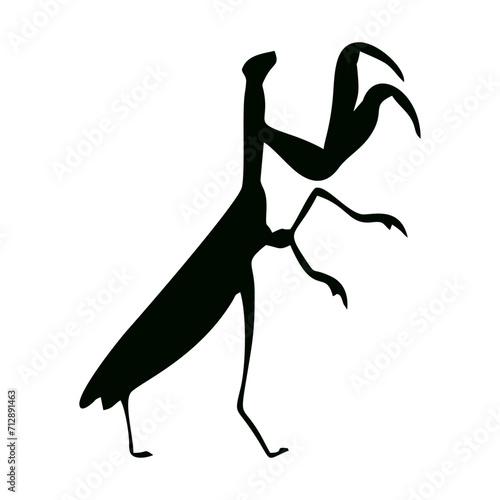 silhouette of a praying mantis or black insect