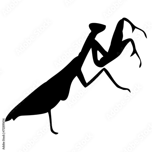silhouette of a praying mantis or black insect
