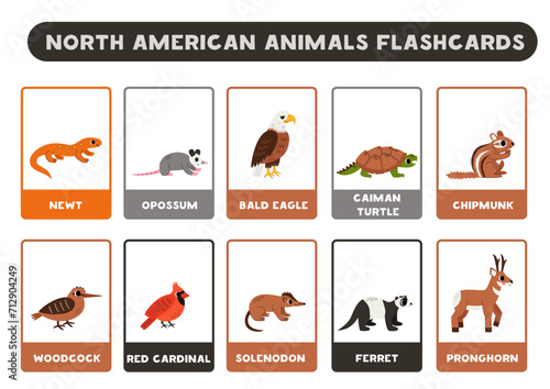 Cute North American animals with names. Flashcards for learning English.