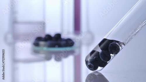The blueberries inside a transparent test tube, purified water is filled into it. Laboratory space. Product research and development concept with fresh fruit.