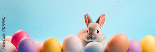 Easter Bunny with Easter eggs on isolated background with copy text space - ai generative