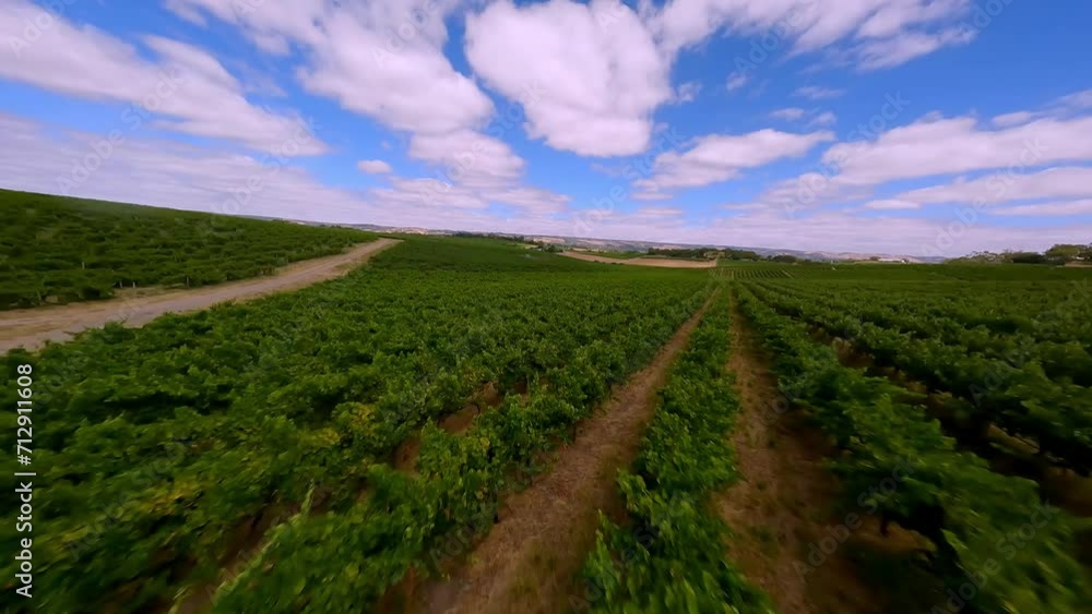 Flying over a field in Australia, on a sunny day. Flying over a field in Australia, on a sunny day.