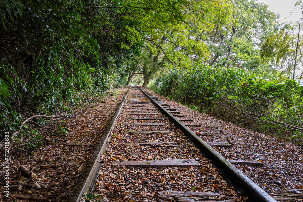 Fototapeta premium 森の中の廃線レール Abandoned railway line in the forest