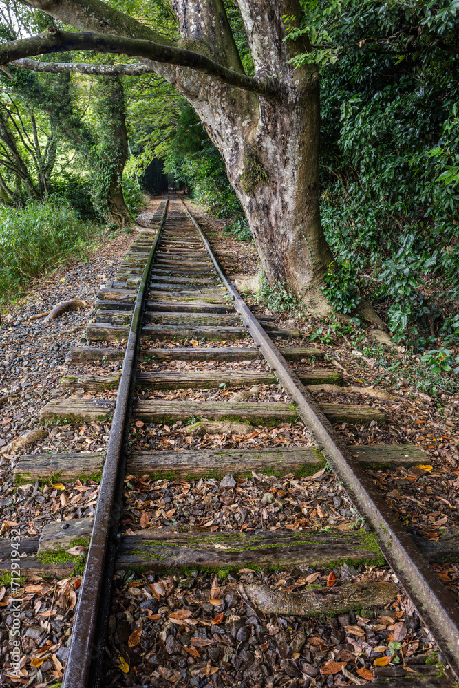 森の中の廃線レール Abandoned railway line in the forest 森の中の廃線レール Abandoned railway line in the forest