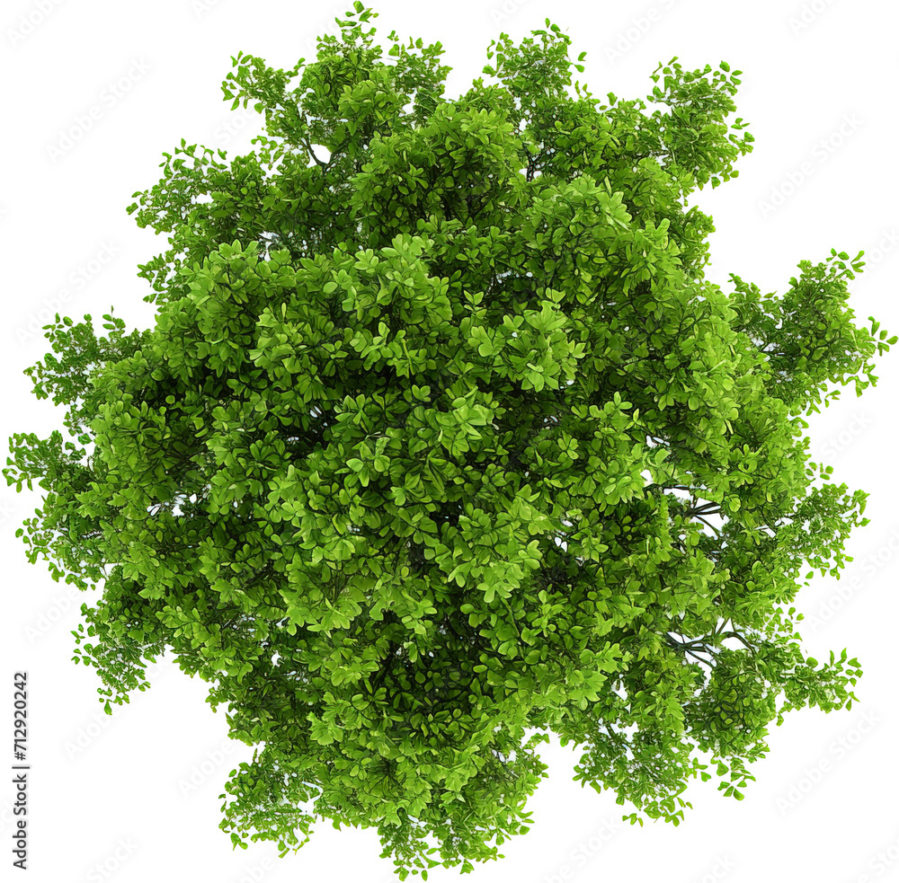 Fototapeta premium Green tree isolated on transparent background. PNG
