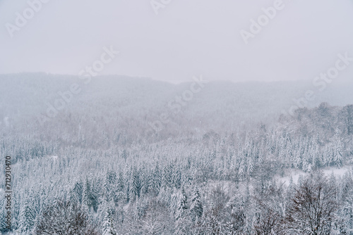 Ski slope among a snow-covered coniferous forest on the slopes of misty mountains
