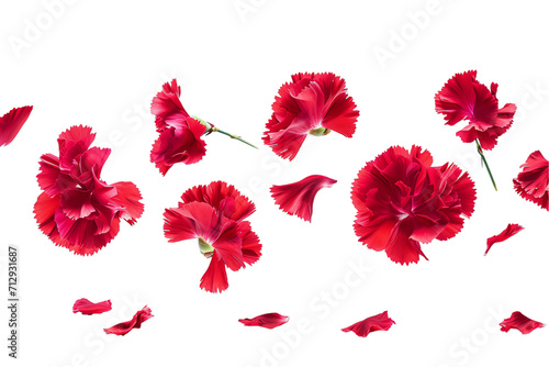 Vibrant Red Poppy Flowers in a Seamless Floral Vector Illustration for a Summer Bouquet Design with Leaves and Petals
