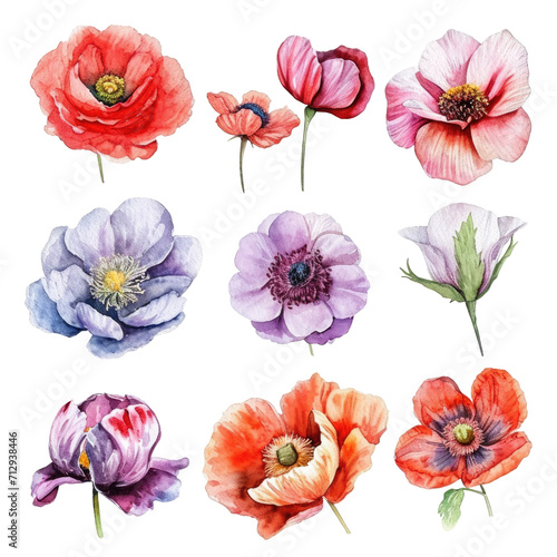 Set of watercolor flowers isolated on a transparent background  png