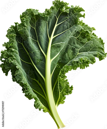 Green kale leaves isolated on transparent background. PNG photo