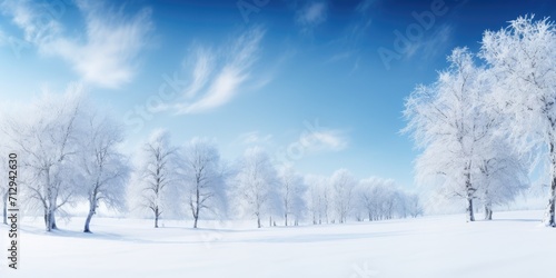 Snow-covered trees with space for your product advertisement, set against a dramatic, blue winter sky. © Sona