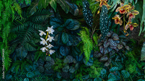 Fototapeta Naklejka Na Ścianę i Meble -  Full Frame of Green Leaves Pattern Background, Nature Lush Foliage Leaf Texture, tropical leaf	
