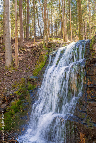 Fototapeta Naklejka Na Ścianę i Meble -  Beautiful waterfall on a cliff in a woodland