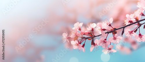Beautiful clean background with spring flower branches  soft focus and light  bokeh  copy space